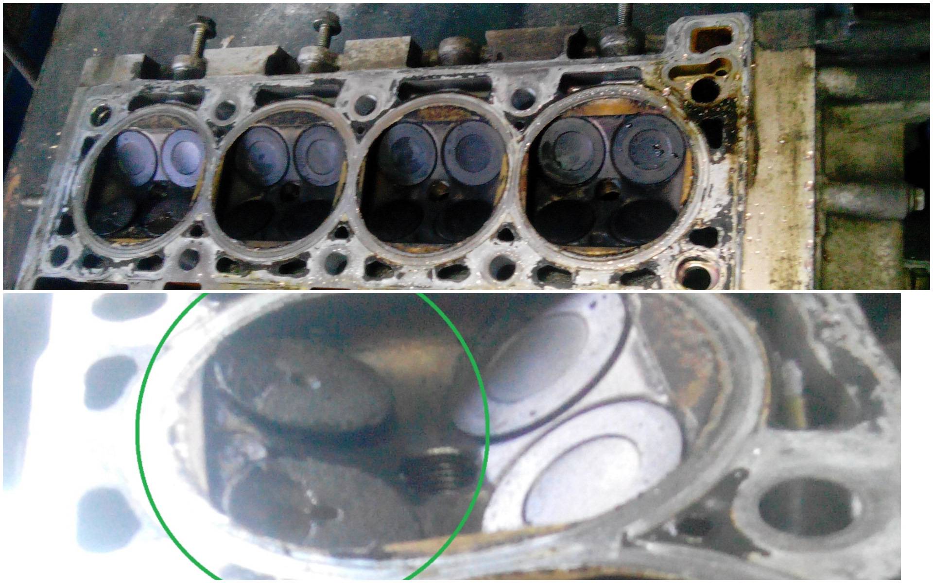 На каком двигателе рено логана не гнет клапана при обрыве ремня грм