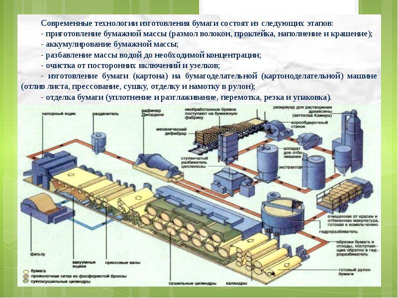 Ведущие страны-производители целлюлозы и бумаги в мире