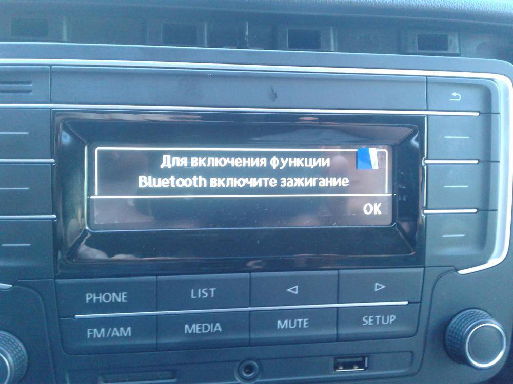 Модуль блютуз Шкода Рапид. Экран с Bluetooth Шкода Рапид.